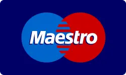 maestro logo